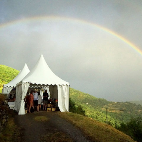 mariage-hamish