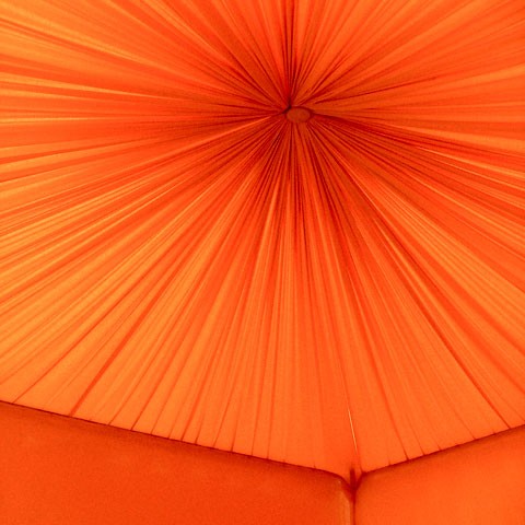 printemps-2005-001